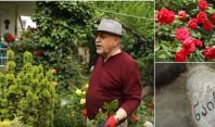 63 წლის მებაღე, რომელმაც დაღუპულ მეუღლეს ბაღი მიუძღვნა -  მარადიული სიყვარულის ნიშნად შექმნილი ბაღი რუსთავში