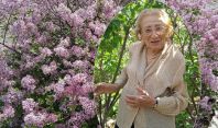  ქალბატონი, რომელიც 62 წელია თბილისის ბოტანიკურ ბაღში მუშაობს და იასამნებს უვლის - "იასამნების კეთილი დედოფალი"