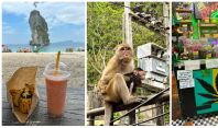მაიმუნების კუნძული, სტუმრად სპილოებთან და ბაზრებში გასაყიდად გამოტანილი კანაფი - მოგზაურობა ტაილანდში (მესამე ნაწილი)