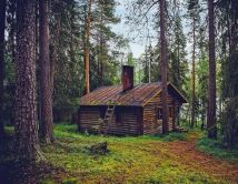7 სერიოზული მინუსი, რომელთა გამო სახლზე ტყის პირას შეიძლება, აღარ იოცნებოთ