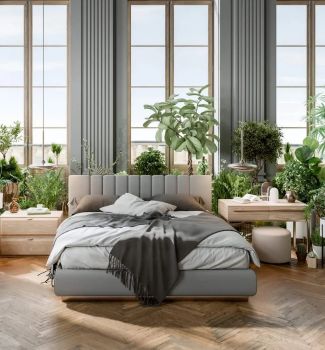 რატომ არ უნდა გქონდეთ ბევრი მცენარე საძინებელში რატომ არ უნდა გქონდეთ ბევრი მცენარე საძინებელში