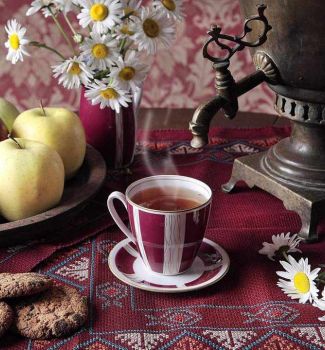 პედიატრი, რომელმაც ხევსურეთში ქართული ჩაის საწარმო გახსნა - "არ მინდა, ის ქართული ტრადიციები დაიკარგოს, რაც მთაში არსებობდა"